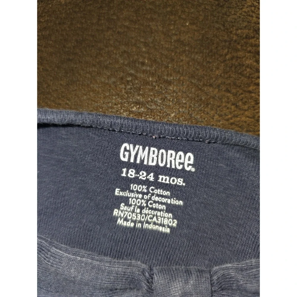 Gymboree parisian afternoon top leggings socks size 18 24 months